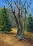 BlackOak - Mt. Shasta April 2008 ~ 9x12 Oil on panel